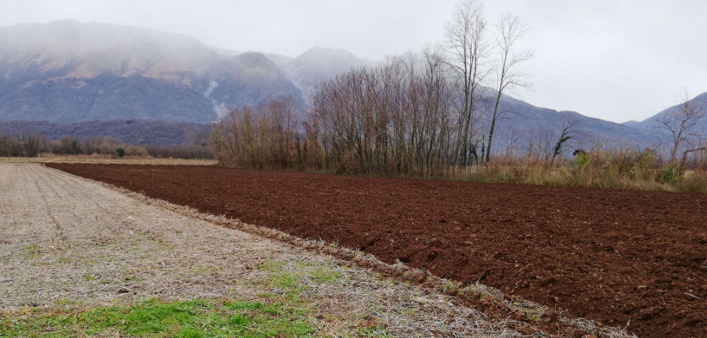 I campi dell'azienda agricola Lorenzo Polo Friz a Giais di Aviano